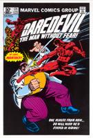 print from Miller Portfolio