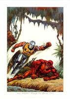 print from French Anniv. Portfolio