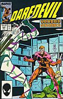 thumbnail - DD #244 cover